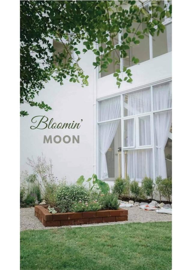 Bloomin' Moon Hostel & Cafe, Chiang Mai Old Town Exteriér fotografie